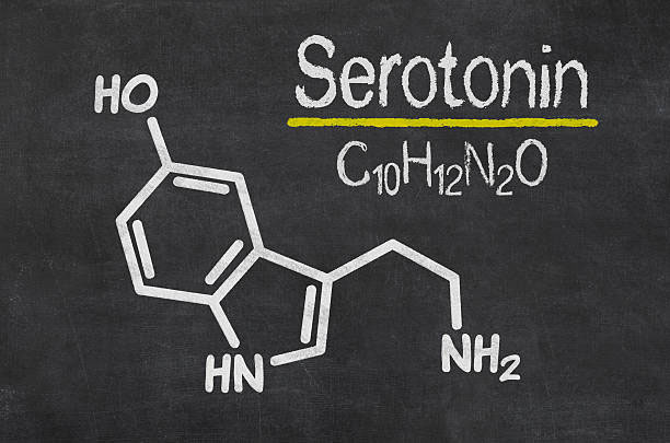 гормоны дофамин серотонин эндорфин окситоцин