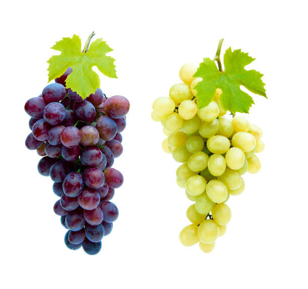пищевая ценность винограда