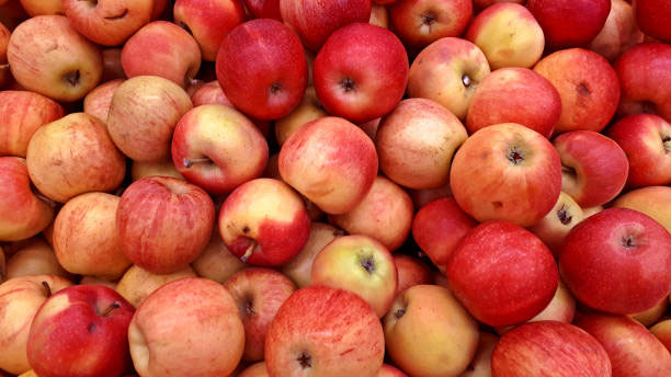 яблоко фрукт полезные свойства
