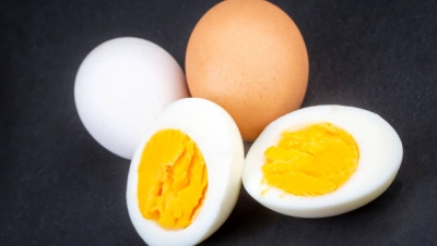 яйца польза и вред